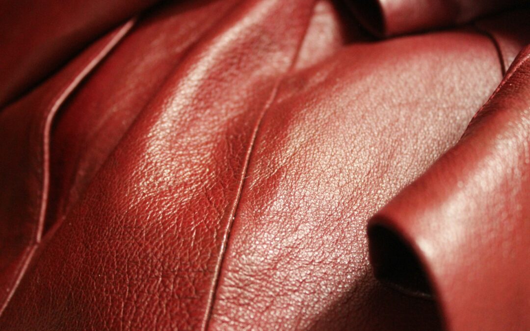 Leather Cleaning vs. Conditioning: What’s the Difference and Do You Need Both?