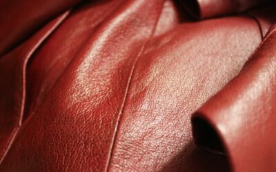 Leather Cleaning vs. Conditioning: What’s the Difference and Do You Need Both?